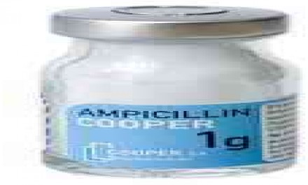 Ampicillin Misr 500mg