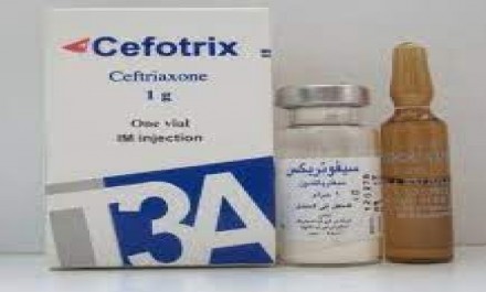 Cefotax T3A 1000mg