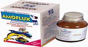 Amoflux 250 mg