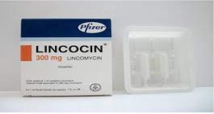 Lincocin 300mg