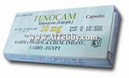 Tenocam 20mg