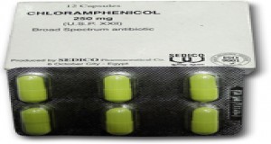 Chloramphenicol- 0.5%