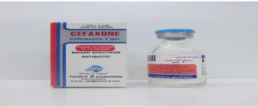 Cefaxone 2 gm