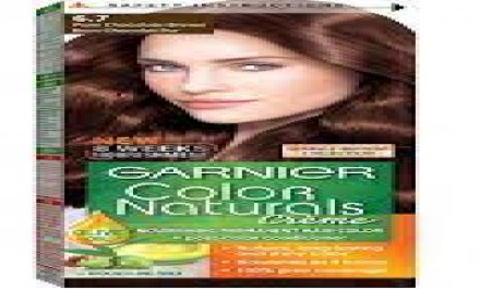 garnier color naturals hair color 6.7