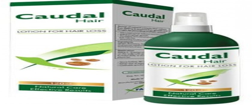 Caudal Hair 50 gm